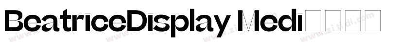 BeatriceDisplay Medi字体转换